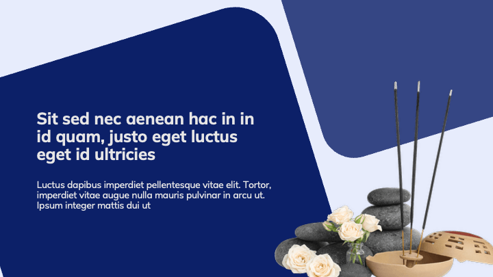 MellowForm Blue Professional slide 2